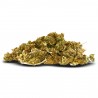 Confezione 25g Shrek (Edizione Limitata)