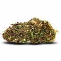 Fiore di CBD Northen Light - 15% CBD