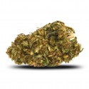 CBD Flower Bubble Gum Greenhouse - cbdpaschere