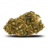 CBD Flower Bubble Gum Greenhouse - cbdpaschere
