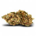 Blueberry Diesel - CBD Fiore - cbdabassocosto