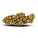 Og Kush - Fiori di CBD - cbdabassocosto