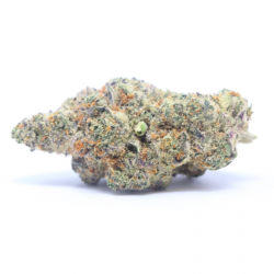 Candy Kush THV-N10