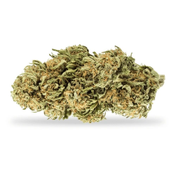 Cannatonic