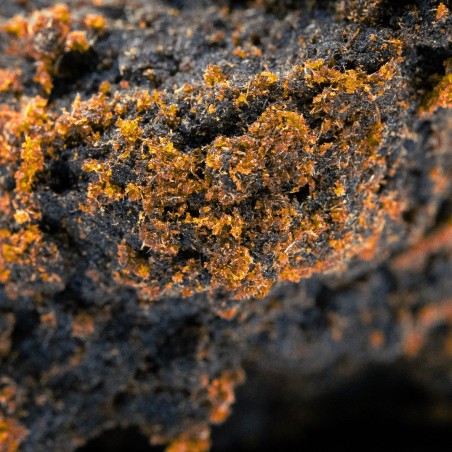 Hashish libanese rosso economico - cbdpaschere