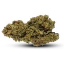 Critical Mass 14% CBD | CBD abassocosto