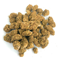 Small Bud - Caramel Kush